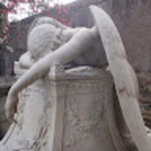 fallenangel921